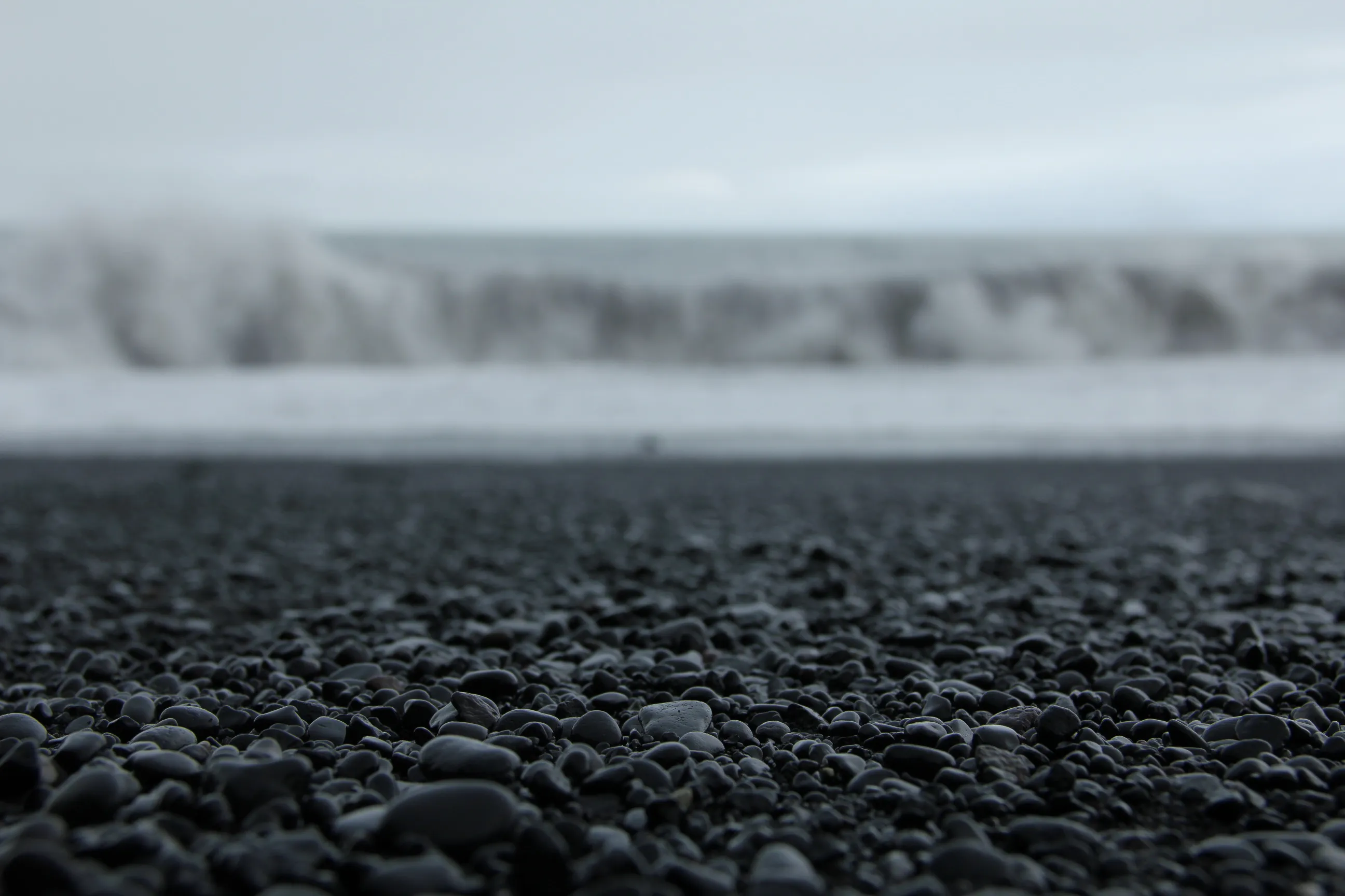 /_astro/IMG_1851.D64VfvTz.jpg