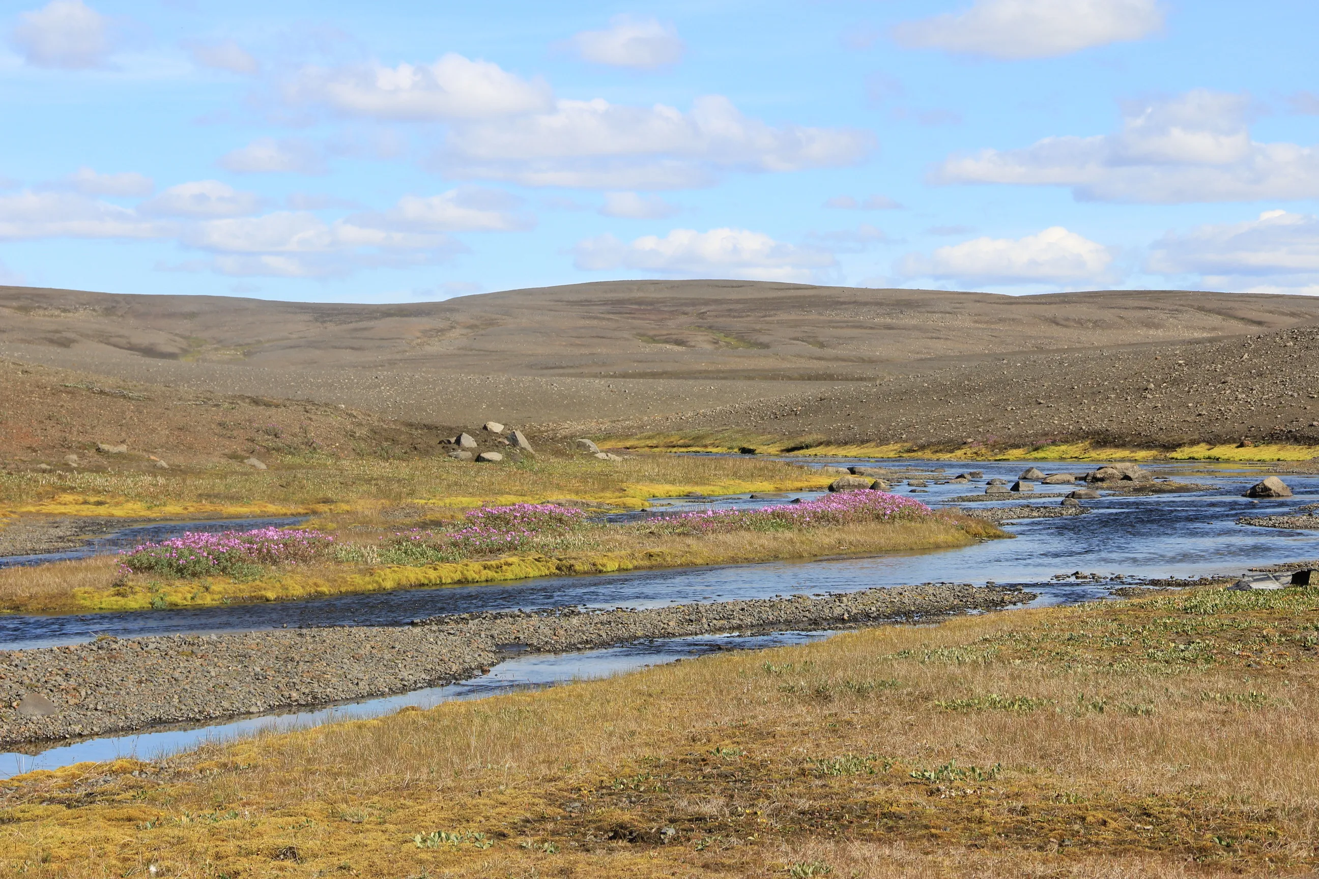 /_astro/IMG_2927.UwE4-rAX.jpg